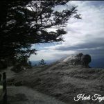 The Rock That Is Higher Than I